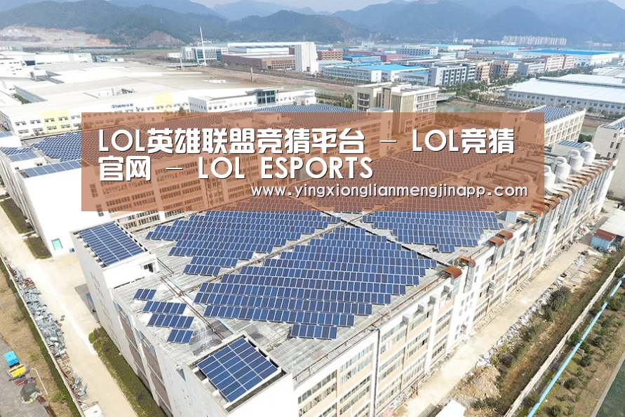 案例展示一