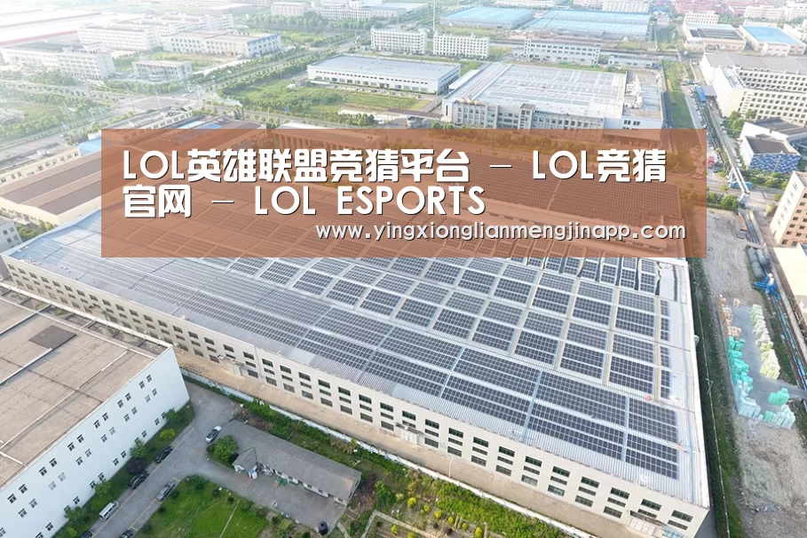案例展示二