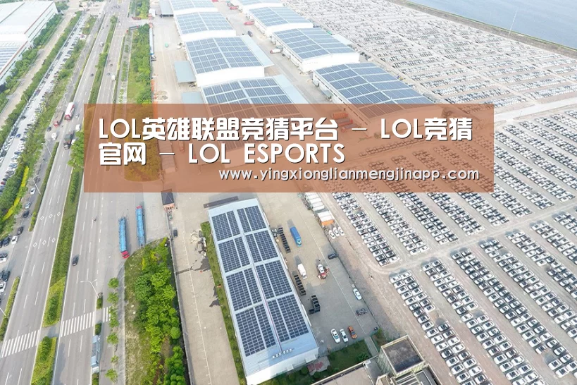 案例展示一