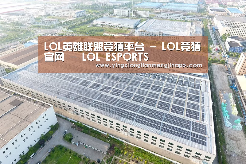 案例展示三