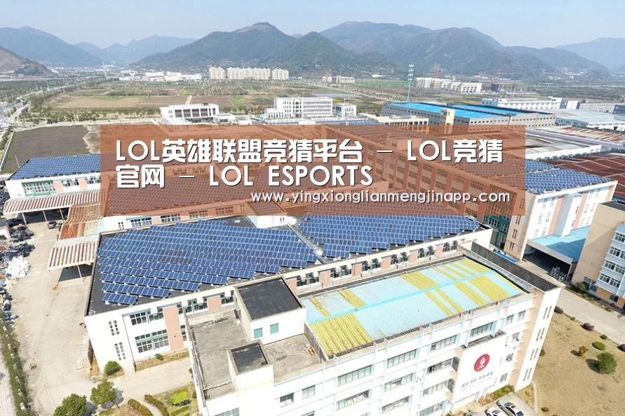 案例展示三