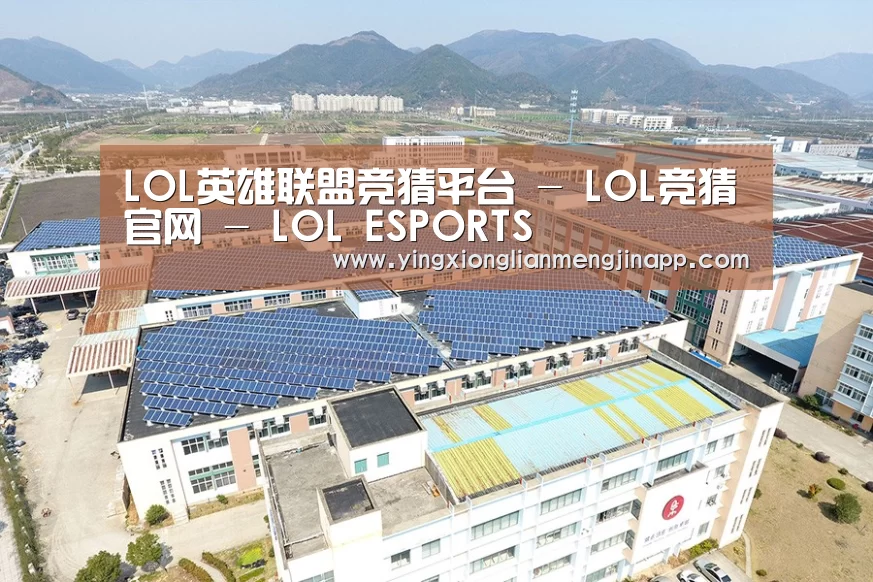案例展示三