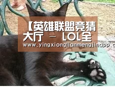 【英雄联盟竞猜大厅 - LOL全球总决赛下注官方网站】什么是竞彩让球胜平负_竞彩让球胜平负技巧(图2) 英雄联盟竞猜大厅 - LOL全球总决赛下注官方网站下载